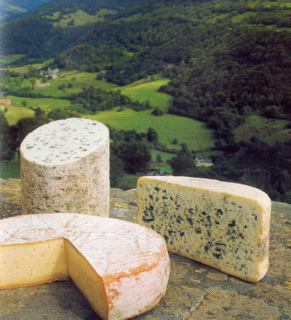 St Nectaire, Bleu d'Auvergne et Fourme d'Ambert